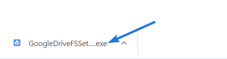 GoogleDriveFSSetup File