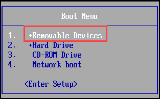 Select Removable Device from Boot Menu