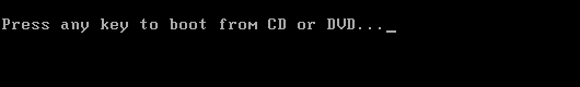 Boot from USB, CD or DVD
