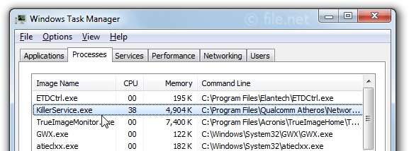 KillerNetworkService.exe File Process in Task Manager