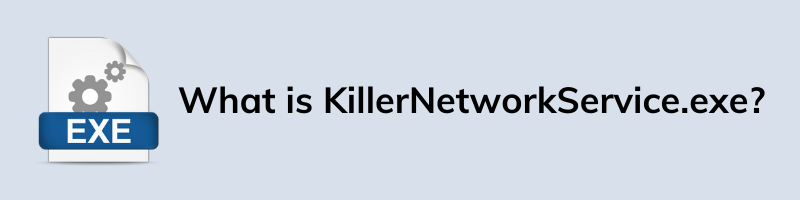 What is KillerNetworkService.exe