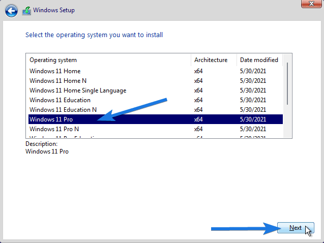 Select Windows 11 Pro or any other Operating System