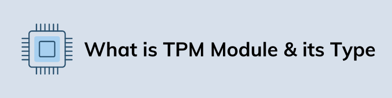 What is TPM Module its Type