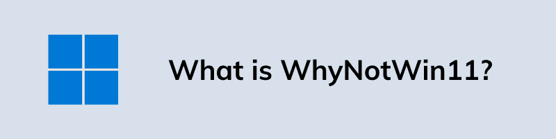 What is WhyNotWin11