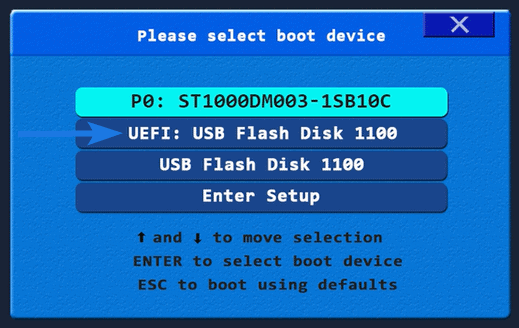 Boot Reset Disk from USB
