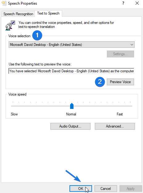 Configuring Speech Voice