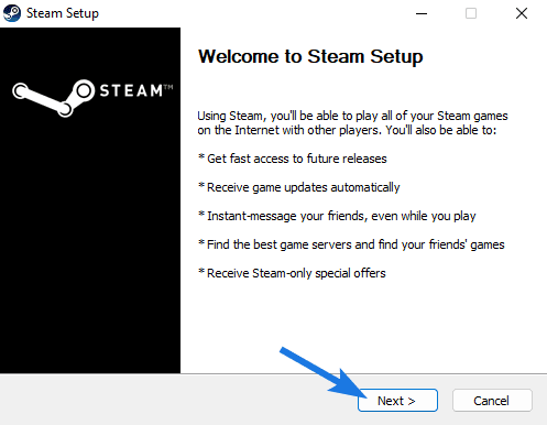 Steam Setup wizard