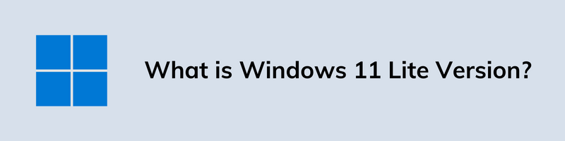 What is Windows 11 Lite Version