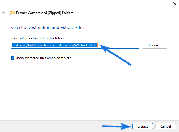 Extract Zip File zVIVE