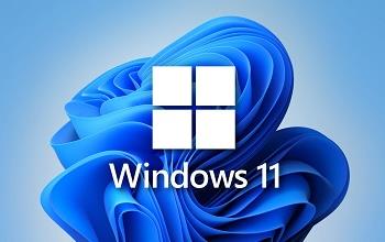 Windows 11 Category