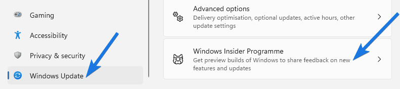 Windows Insider Program